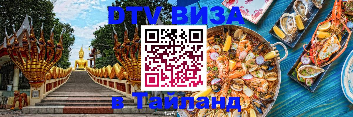 Оформление DTV визы под ключ: стоимость и тарифы, только загранпаспорт - 
